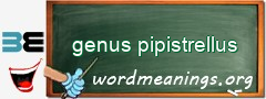WordMeaning blackboard for genus pipistrellus